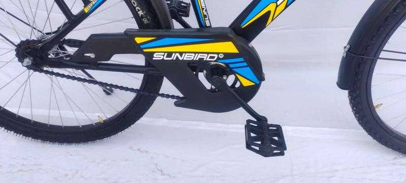Sunbird boom store cycle price