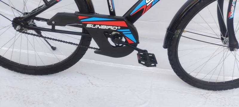 Sunbird boom cycle price clearance