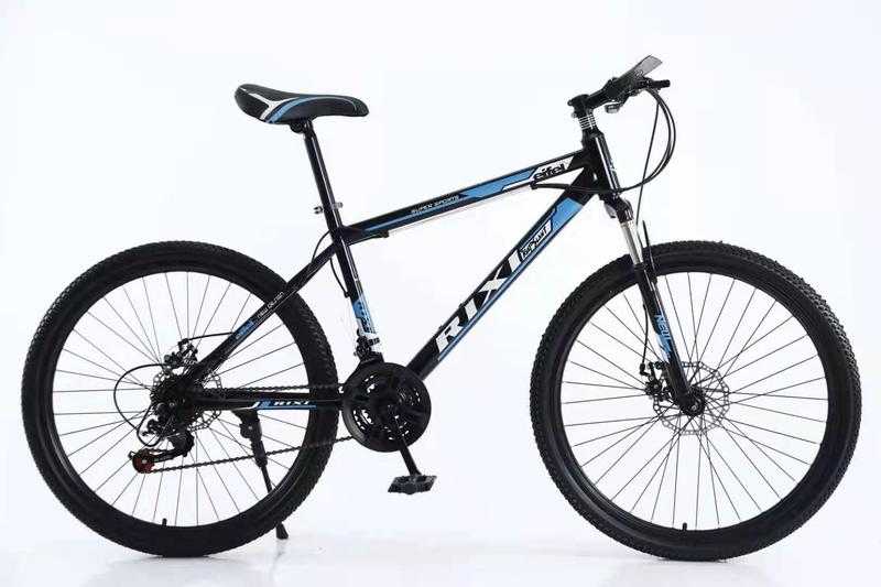 Angel Toys Rixi Steel Frame Cycle for Girls Boys 29 Inch