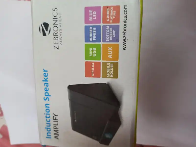 Zebronics Induction slSpeaker Amplify Wireless Black 3 W
