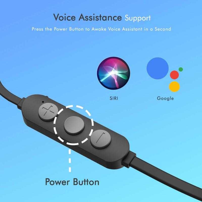 Ptron Bassfest Plus Wireless Bluetooth In the Ear Black Grey