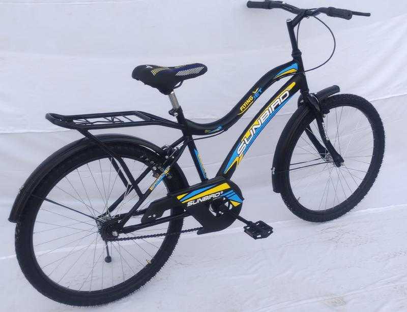 Sunbird boom cheap cycle price