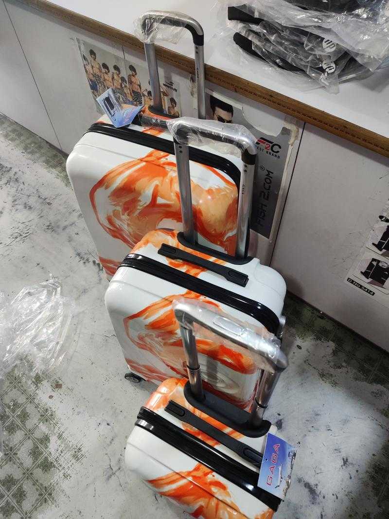 Gaga trolley bag price deals