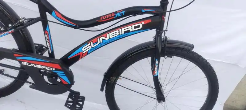 Sunbird Flying Jet Steel Frame Cycle for Girls Boys 26 Inch
