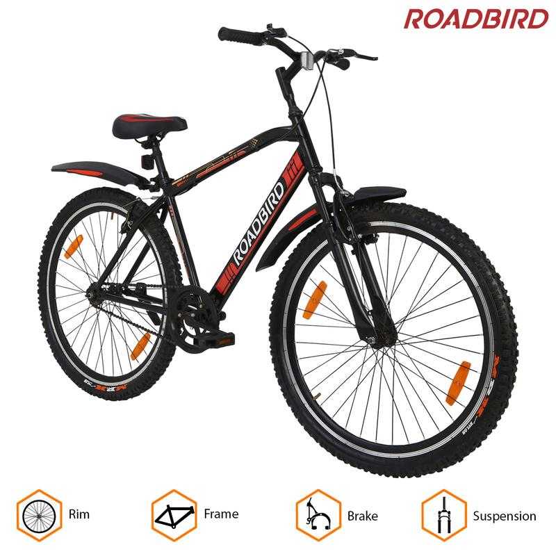 Road bird cycle store