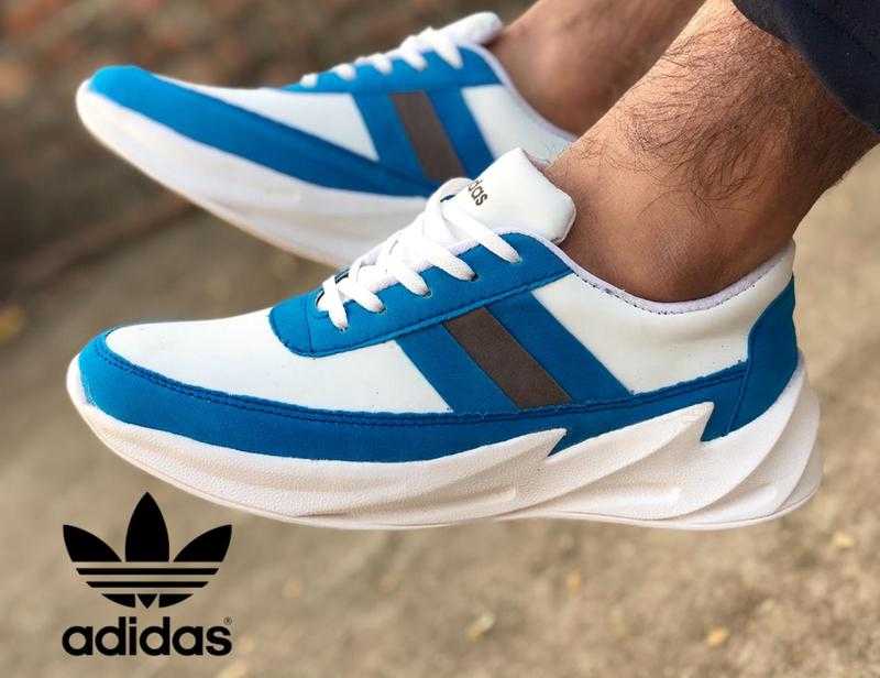 Buy adidas shark shoes top