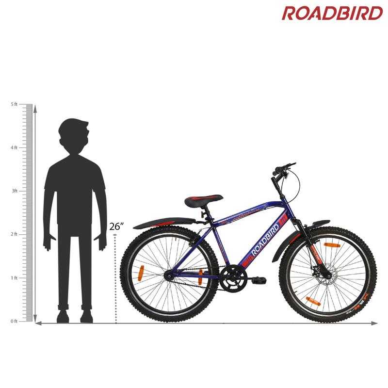 Road bird cycle deals