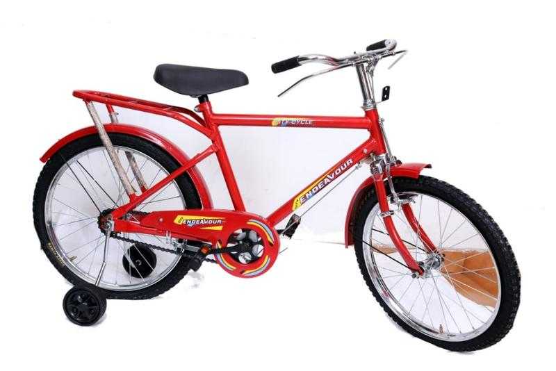 Endeavour City Philips Steel Frame Cycle for Girls Boys 20 Inch