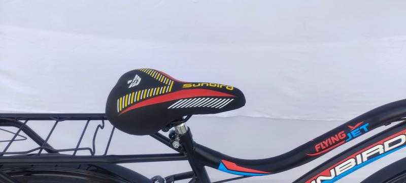 Sunbird Flying Jet Steel Frame Cycle for Girls Boys 26 Inch