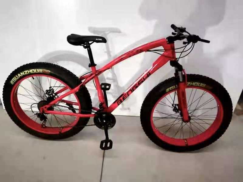 Bengshi cycle cheap