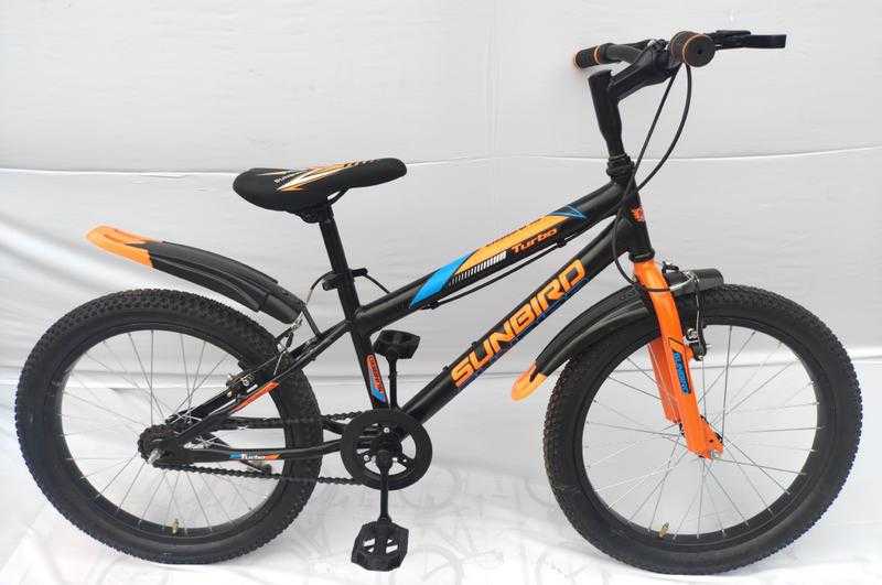 Sunbird Turbo Steel Frame Cycle for Girls Boys 20 Inch