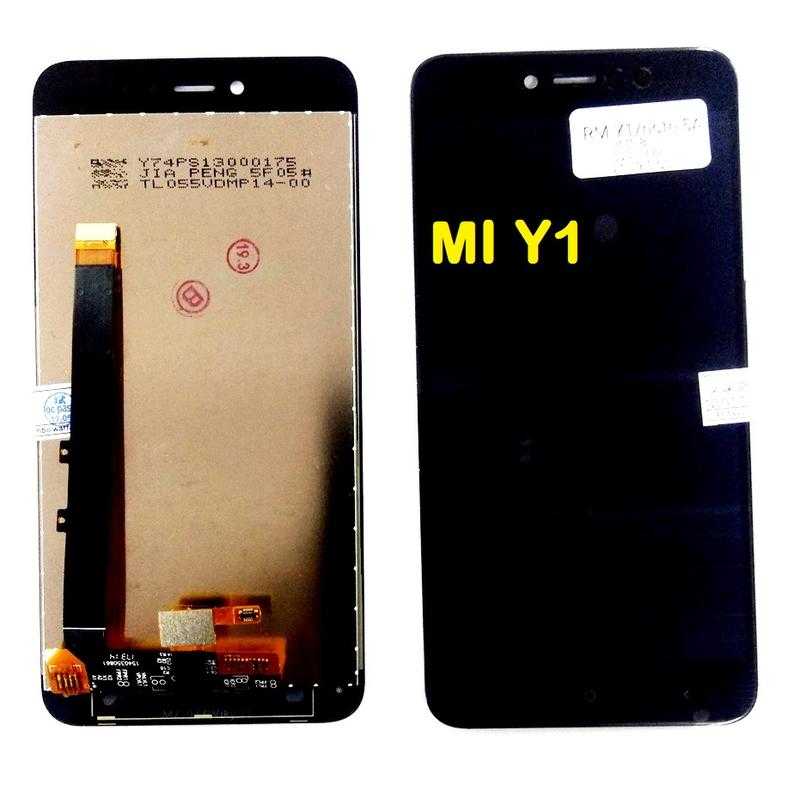 Y1 whatsapp new arrivals